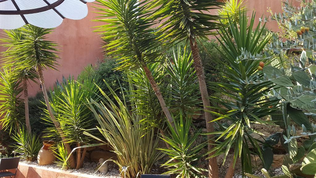 La Maison Du Castellet Ле Кастеле Екстериор снимка